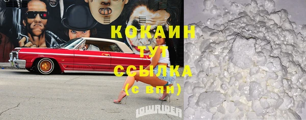 шишки Сосновоборск
