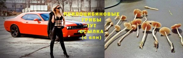 прущие крисы Покров